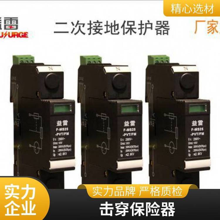 bF-MS25-PVT\/FMPƷƓU