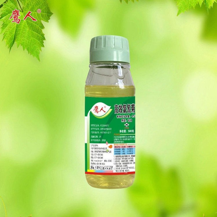 r(nng)ˎxl(f)4.5͏Sֱ