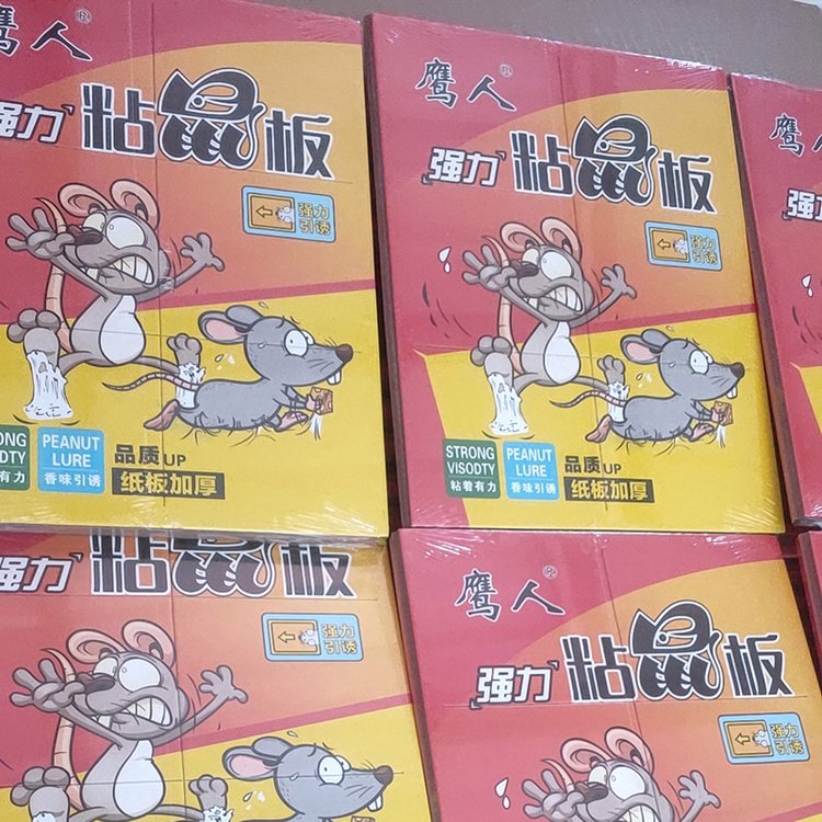 ճճӰNճ(qing)Ӻ񼈰B(yng)ֳʳ