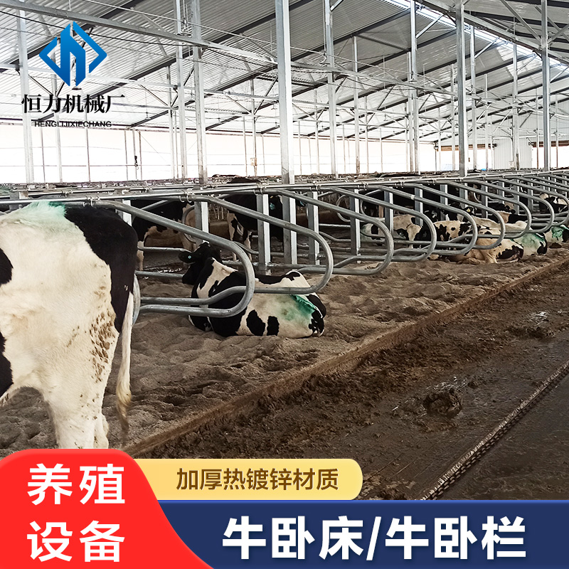 B(yng)ţO(sh)ţPB(yng)ֳţPţPϢ\PƬ