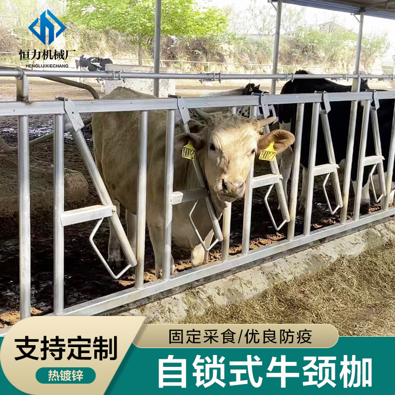 ţüӺţiAiʽ68λţiţڹ؛