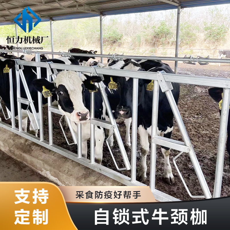 34λţiAţĸţţiʽӺţi