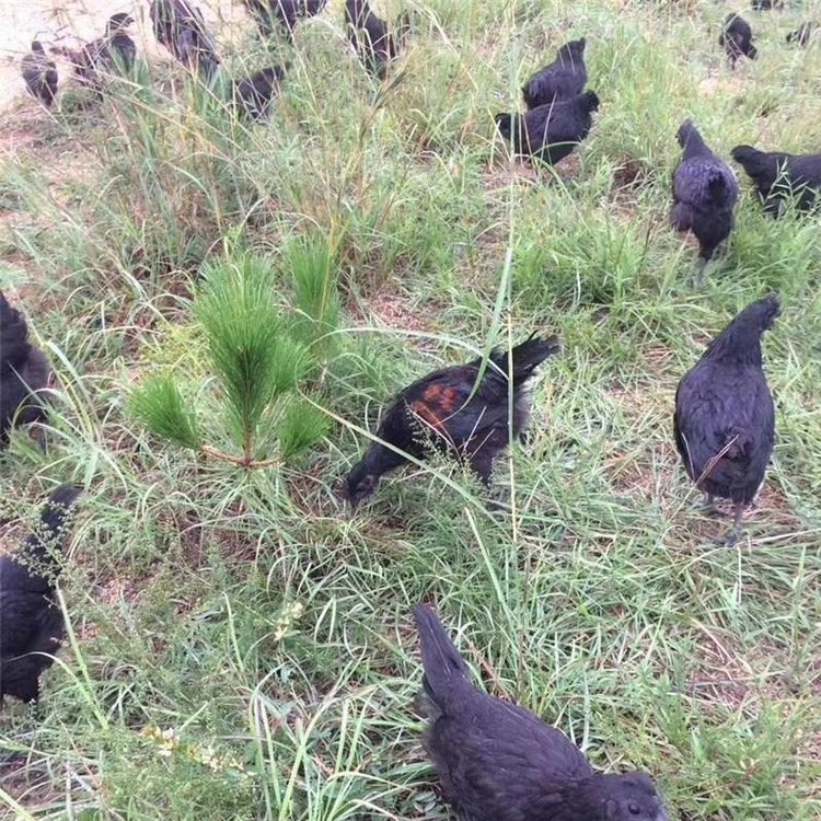 uu猣܇СuHu_(ti)RTݸԪ؛