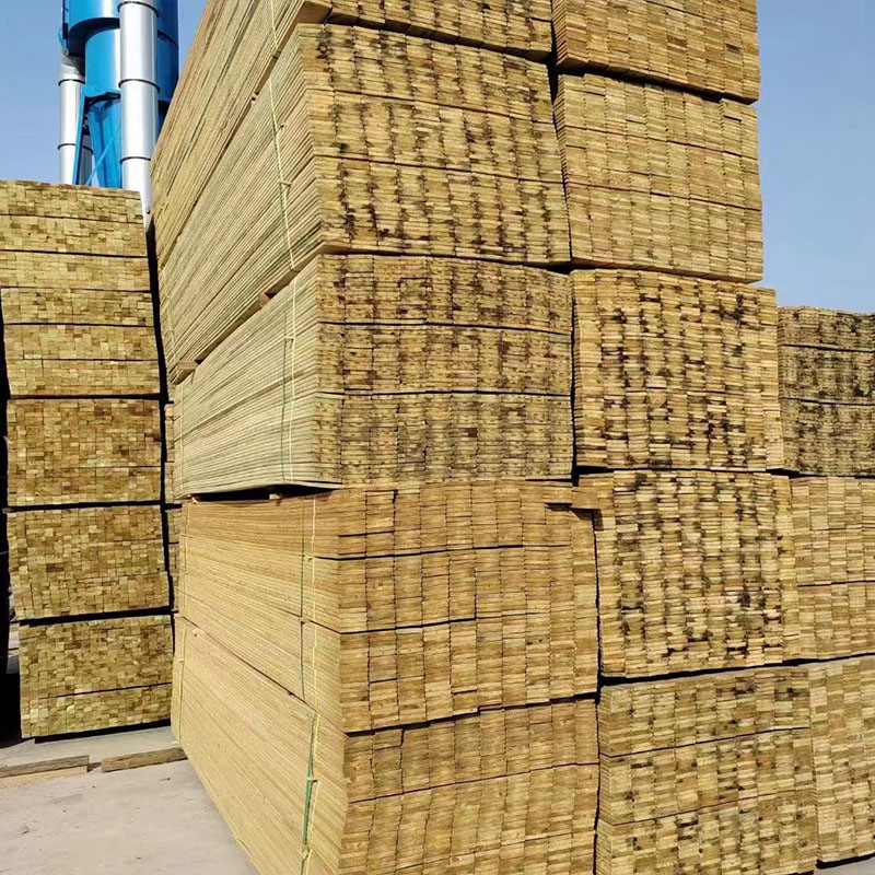 _˹MɷľľذȼܵͥԺ^ľY