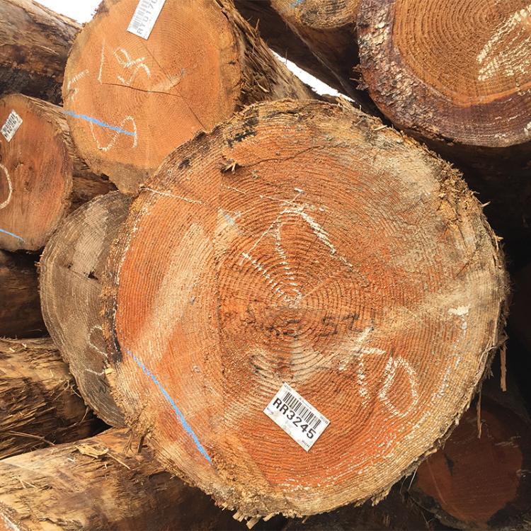 󏽻ԭľ۲ĹŽľļӹSl