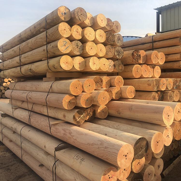 ľļӹSɶ߼ӹ̹،ľĈAľľ