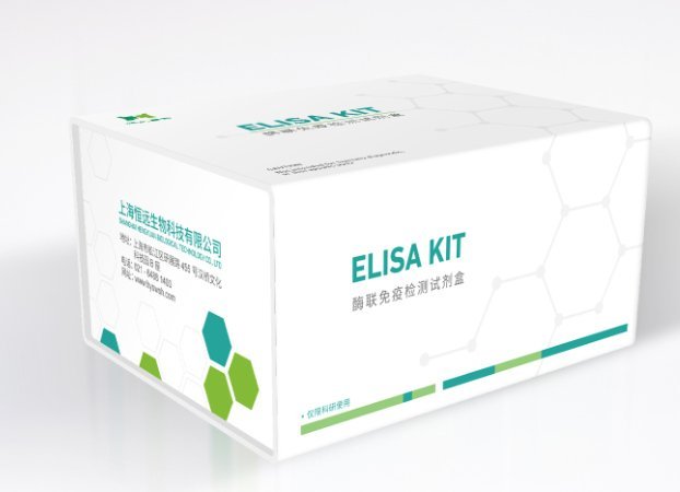 Rwؐ˹xbabesiosisøԇ