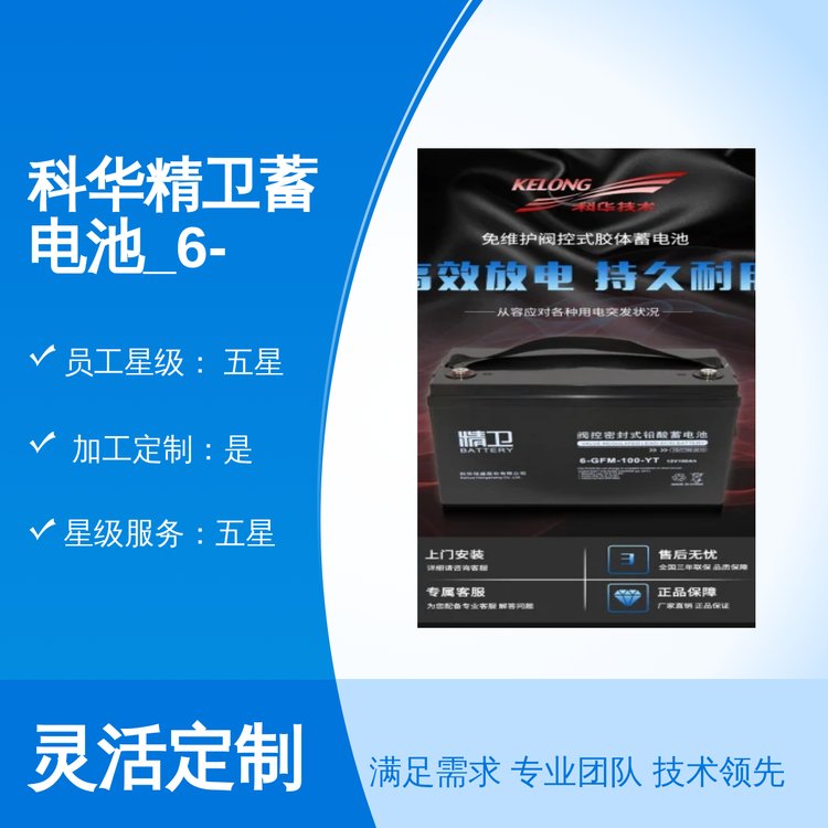 Al늳_6-GFM-100-YT12V100AHǷ24Сrھ