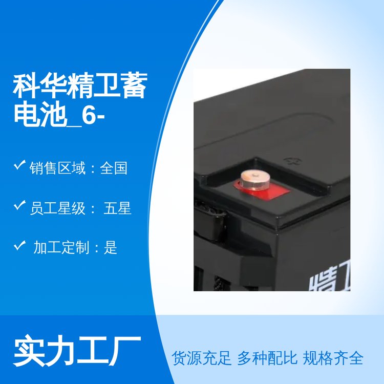 Al늳_6-GFM-100-YT12V100AHǷ