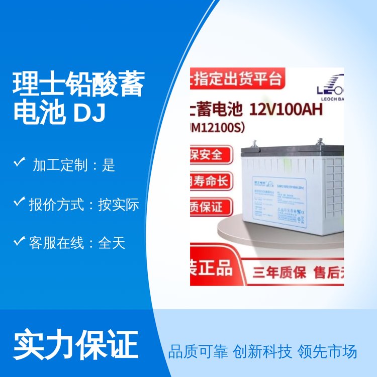 ʿU늳DJM12100S12V100AHUPSǷ(w)