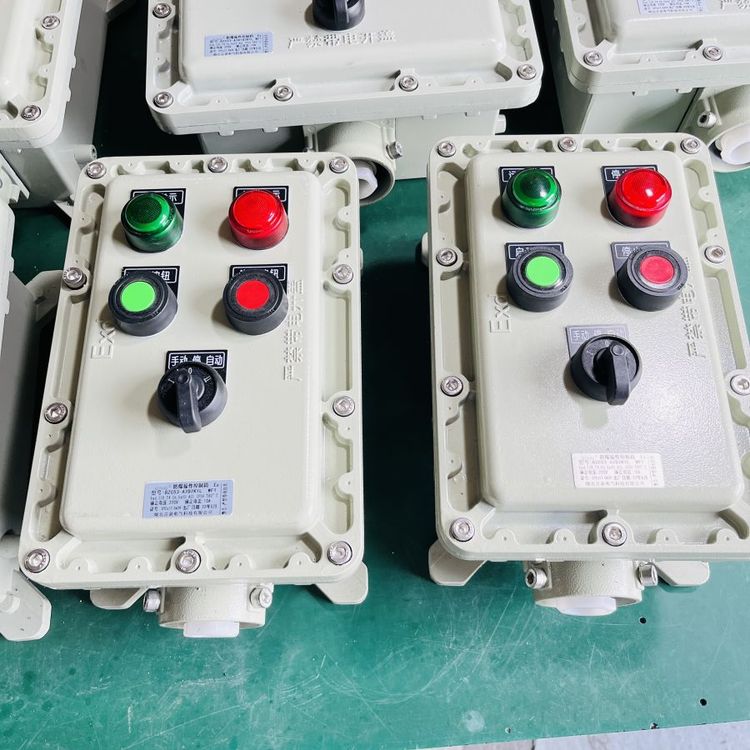 BZC53-A2D2B1LʽExdIICT4100\/5x