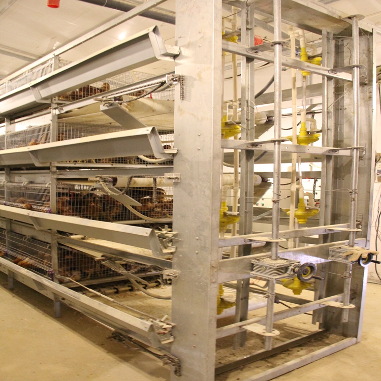 ׿r(nng)u\a(chn)S_W(wng)ruû\W(wng)_B(yng)ֳԄӻ