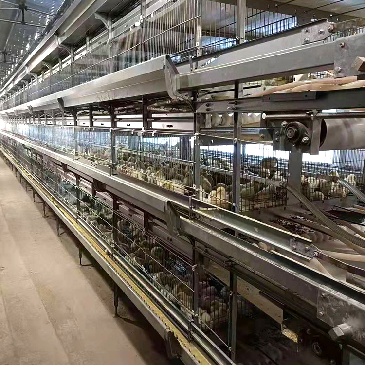 ׿r(nng)uB(yng)ֳu\ȫԄӻO(sh)_B(yng)uԄӻO(sh)Դ^