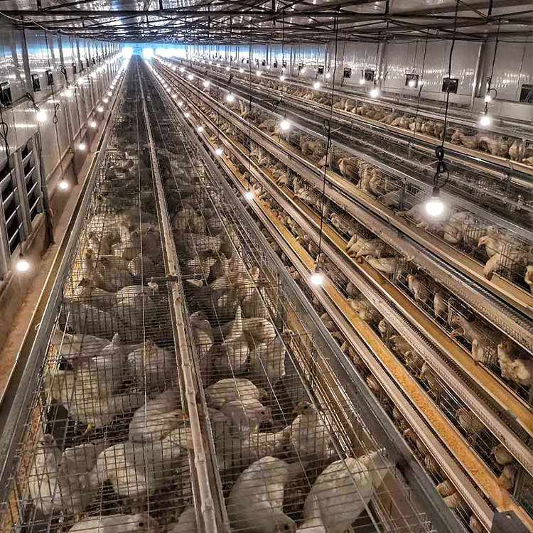 ׿ruBֳԄӻO_HʹӯBu\_BuO