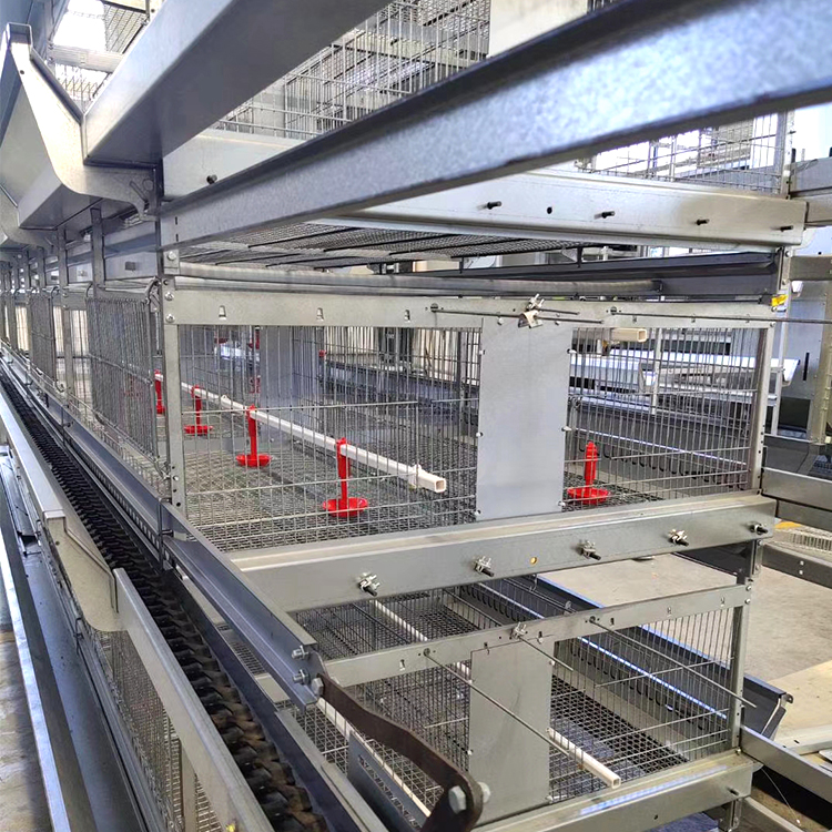 ׿ru\BֳOӴּ_4һwӯBʽrr\