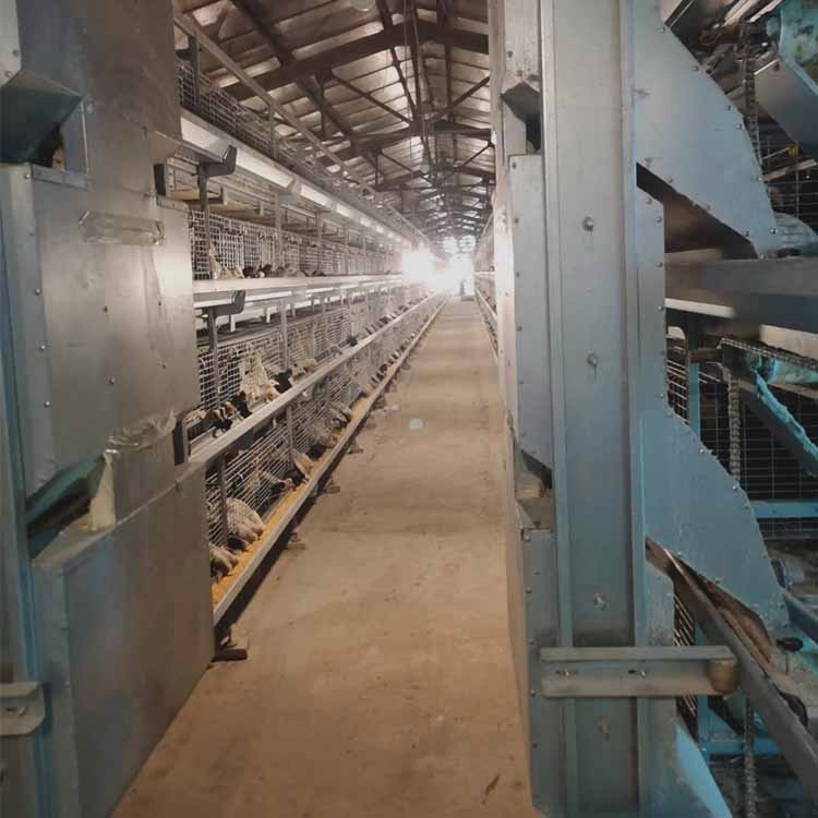 ׿r(nng)B(yng)u(chng)Ԅ(dng)܇ιϵy(tng)_ιϙC(j)_u\O(sh)a(chn)S