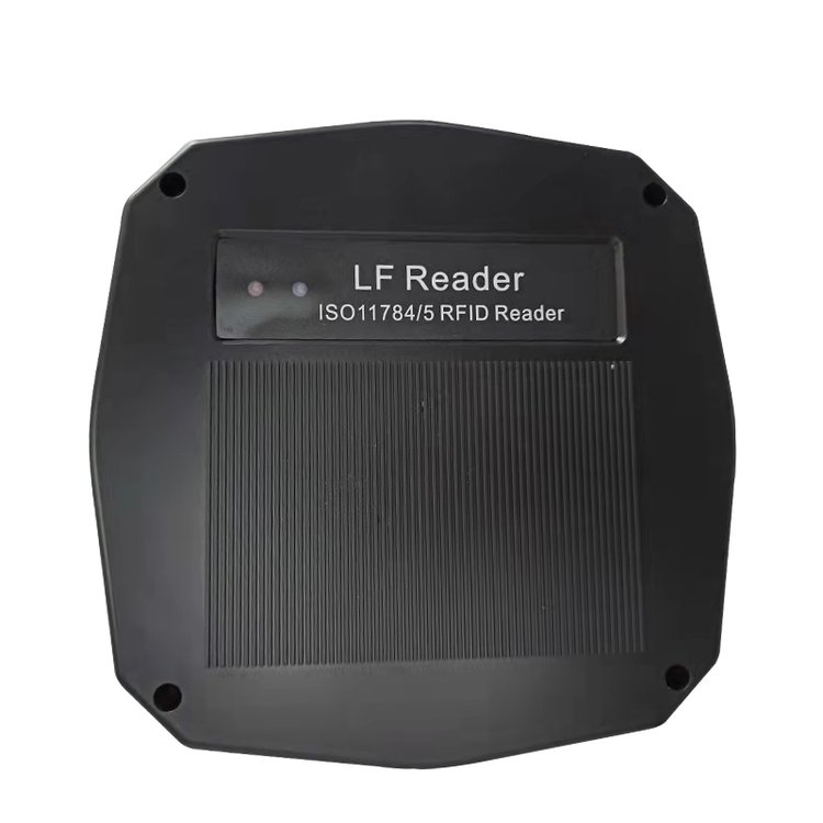 ǷBiǻBiiιRFIDReĸilOyRe