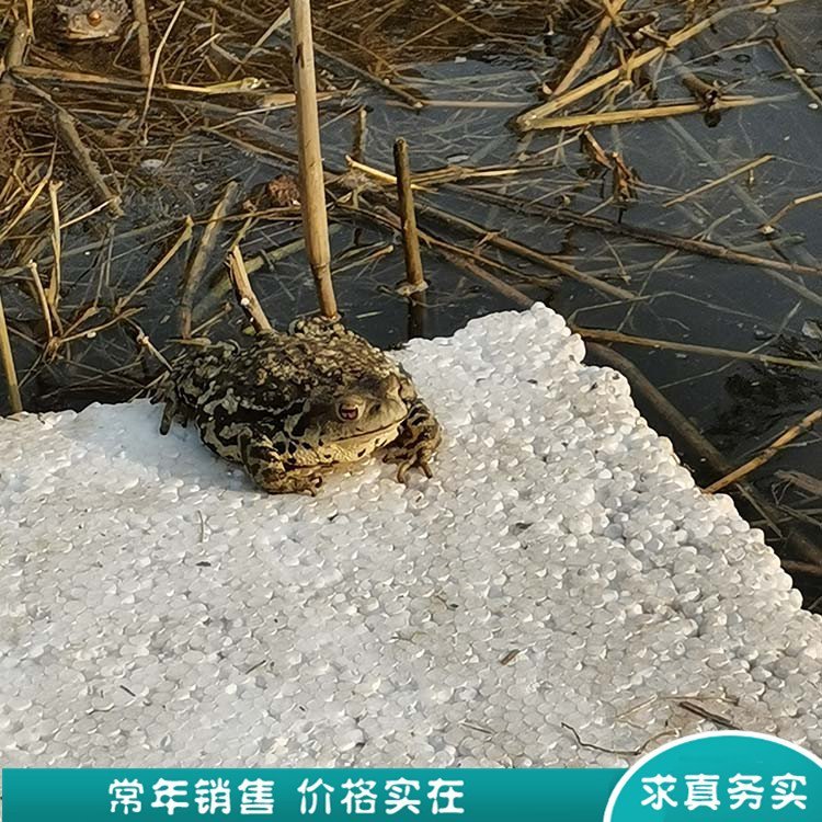 ɢB]Bֳw󡹩ȦB]팚Bֳ