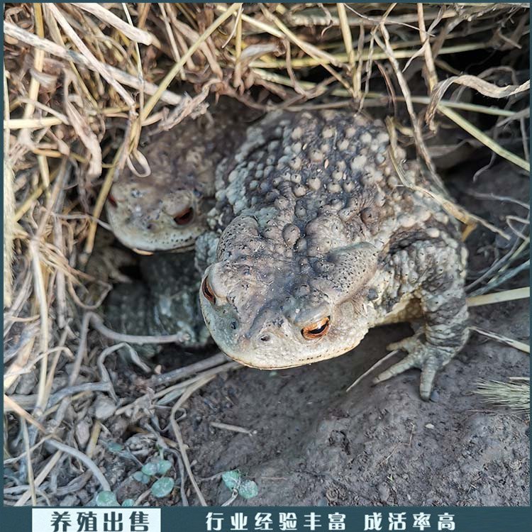 ׳ɻɢB(yng)ܻwwB(yng)ֳN