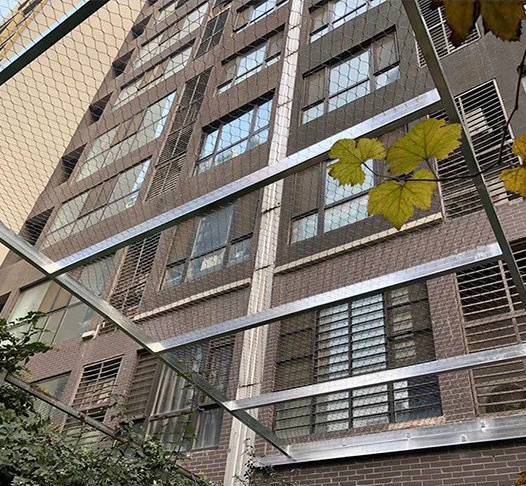 P䓾W(wng)䓽zK؛W(wng)ʯUѴW(wng)