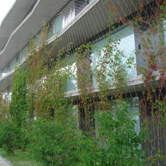 ֲP䓽zKW(wng)СԺ_ﰲݷo(h)W(wng)