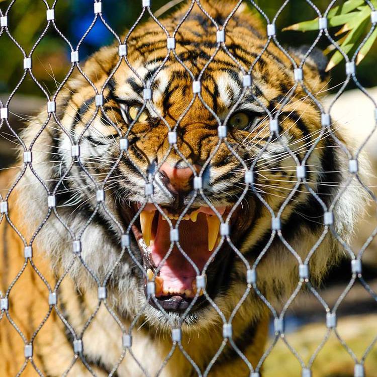 ¡304PKW(wng)B@W(wng){\RھW(wng)