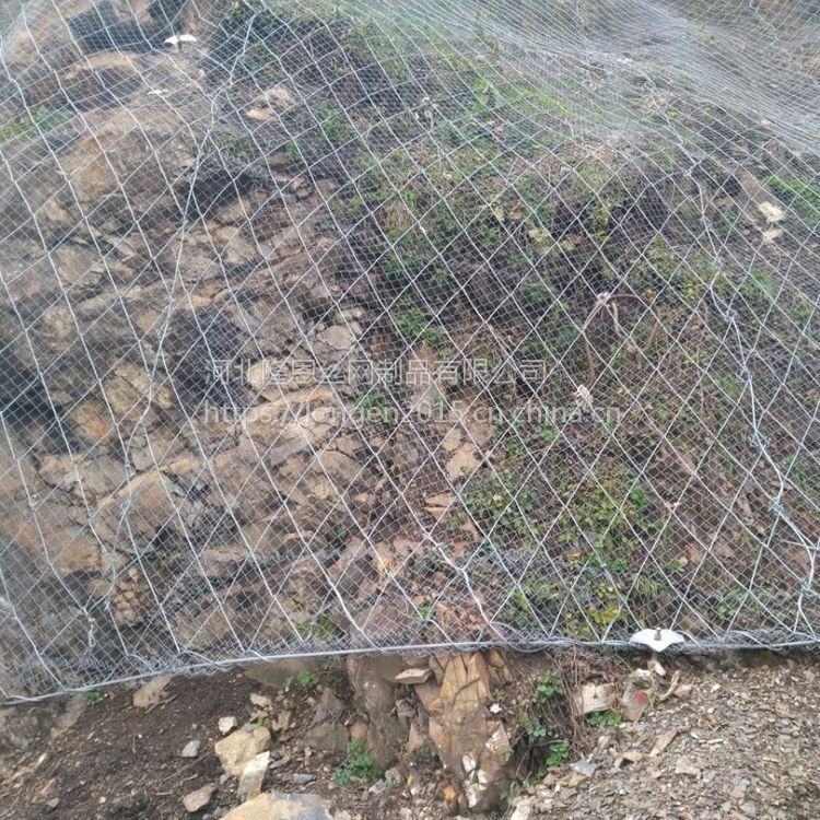 SPIDERߏ䓽gWƬ߅SNSԷoW