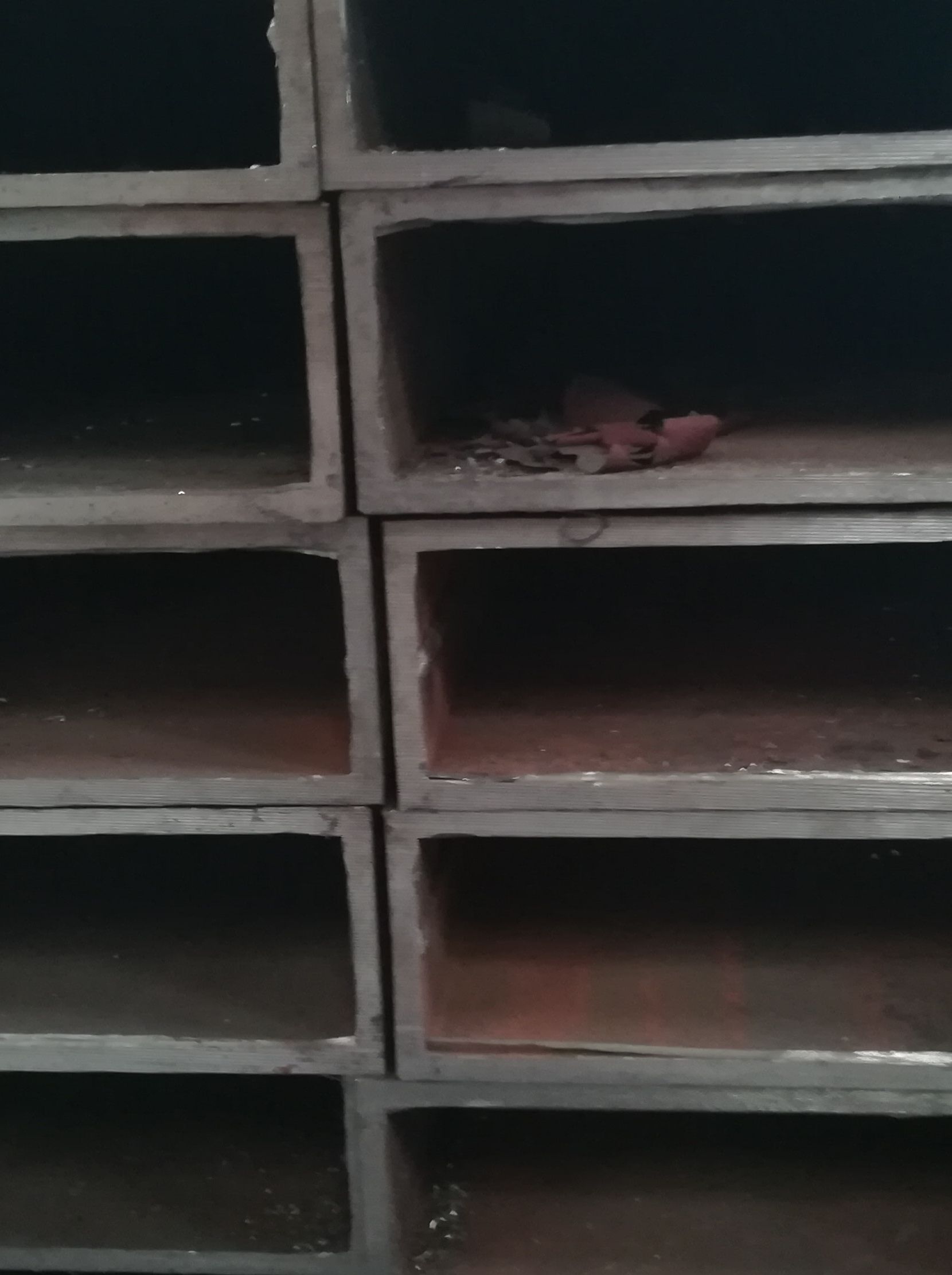 |90|䓽Y(ji)(gu)|oڟ܈ˇֱǼǷع