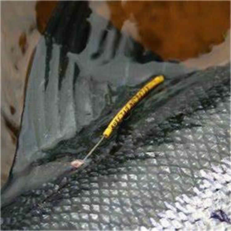 ~(bio)ӛ~vۙuͺx(yng)ÏV