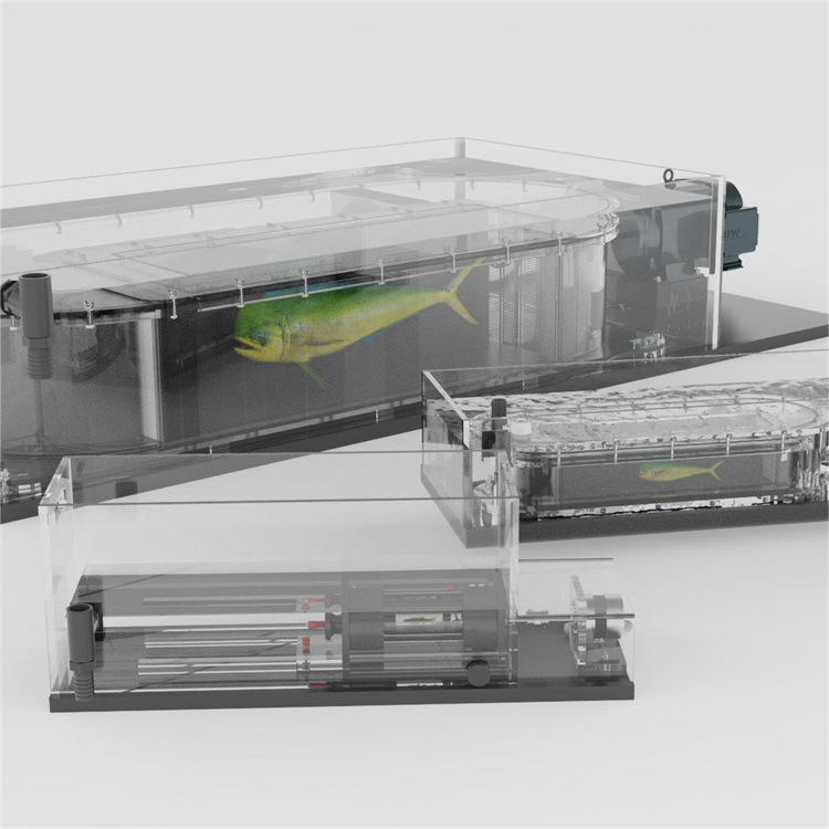 ~ӾyϵySWIM-90?gϾSo