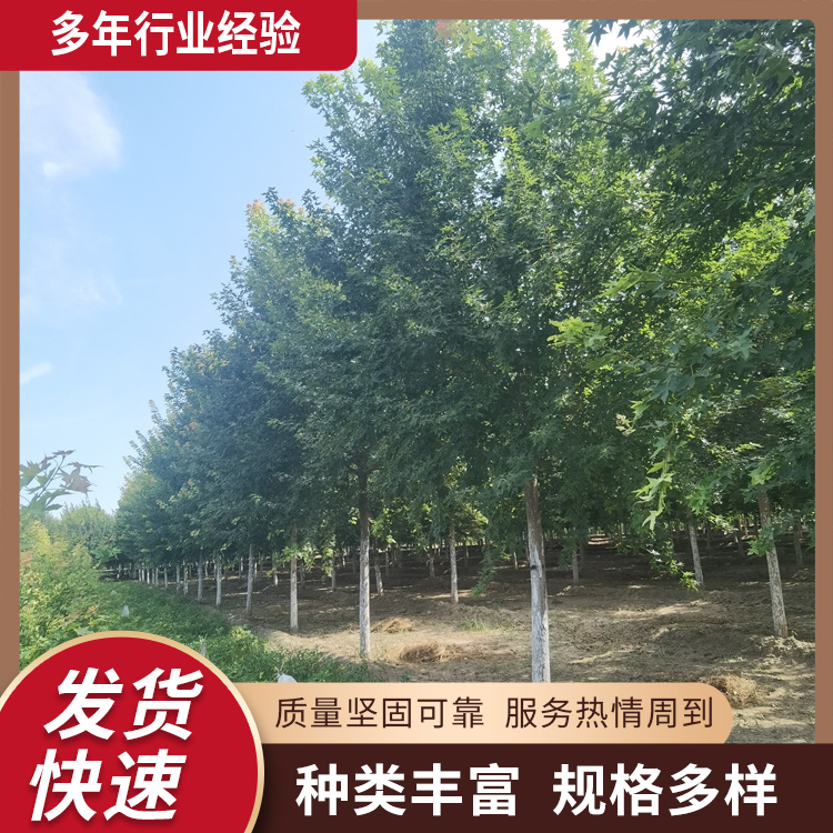 8-9-10-11-12-13-14-15-16-17-18ǗֵLGǗ