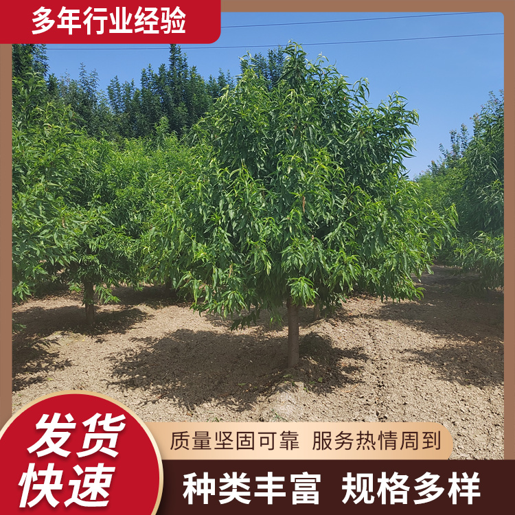 5-6-7-8-9-10-11-12-13-14-15-16-17-18ͥԺɽҘ΃