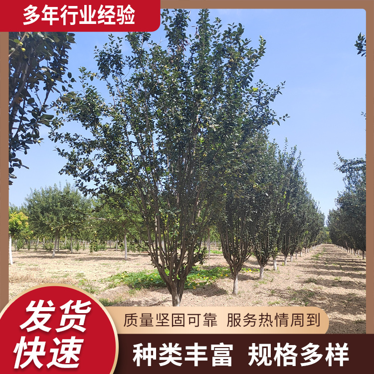 6-7-8-9ͥԺa@־G֦lL