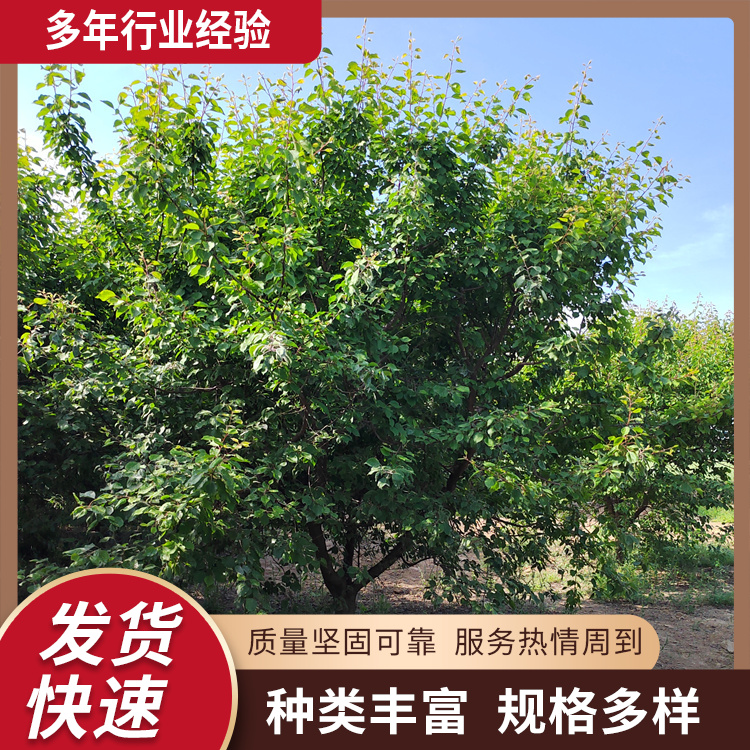 8-9-10-11-12-13-14-15-16-17-18^pɽӘ·^L