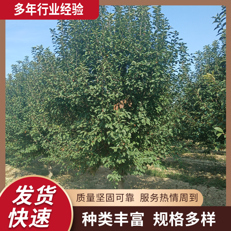 6-7-8-9-10еGkͥԺ^p^B׻