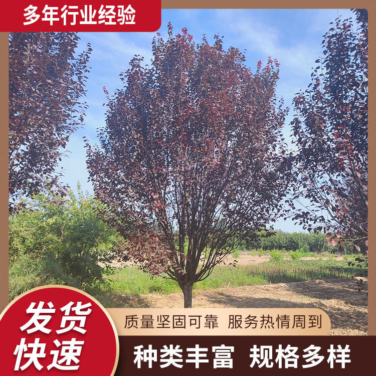 6-8-10-12-15-18ּt~~^еG^pԏ