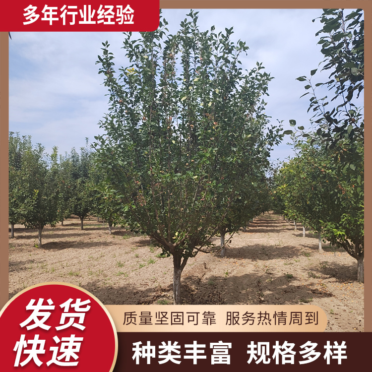 13-14-15-16-17-18-19-20ֱеGĘ