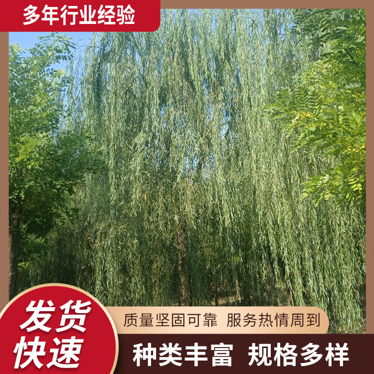 15-16-17-18-19-20-21-22-23LGС^еNֲ