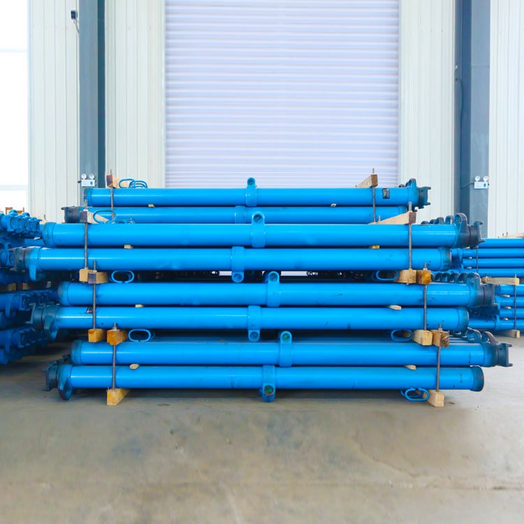 DW10-300\/100XwҺ֧֧oȸ߰ȫԺ