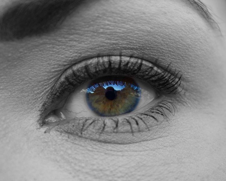 ϺM(jn)ڻyƷ(bo)P(gun)עڻyƷP(gun)gӭԃM(fi)