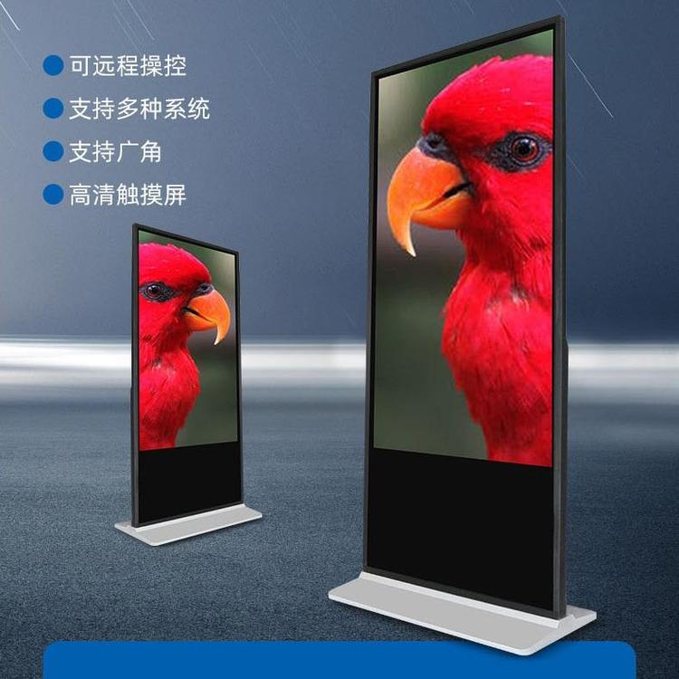 wMSLSC55ʽt|һwCܲԃCҺV