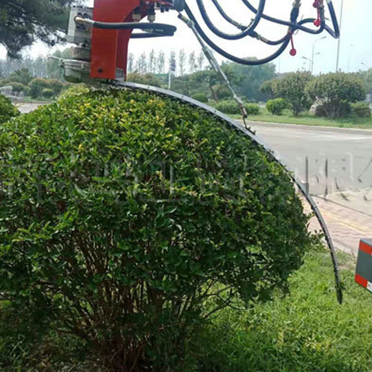 Gֲ޼CȫԄӈ@C{ʽG޼OaS