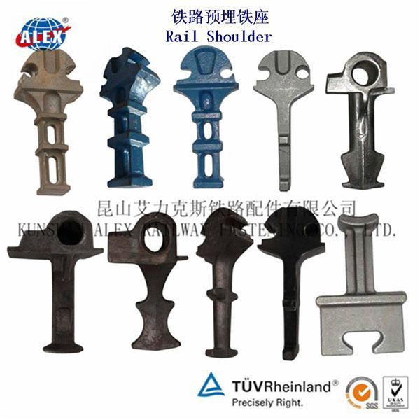 N(bio)(zhn)F·A(y)ˮA(y)Fa(chn)S