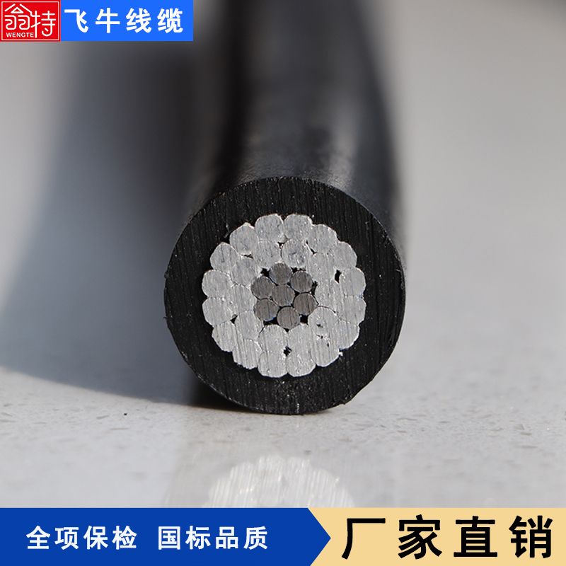 wţ|Sֱ^߉ܿվJKLGYJ-10KV-120\/20ߌĦ