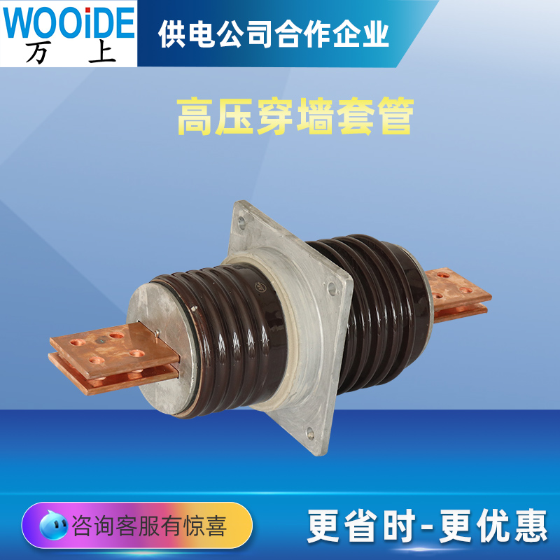 10KV׹CWB-10\/3000A4000A~Ŵ׹8*100*3ACWW