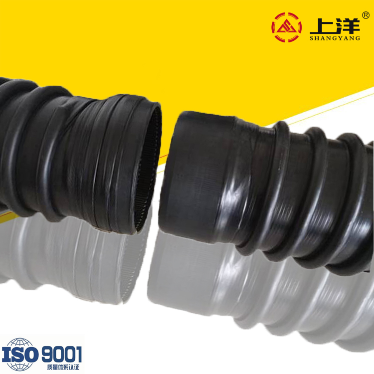 (yng)(zhn)DN300SN8۾ϩp@Y(ji)(gu)Bpp@