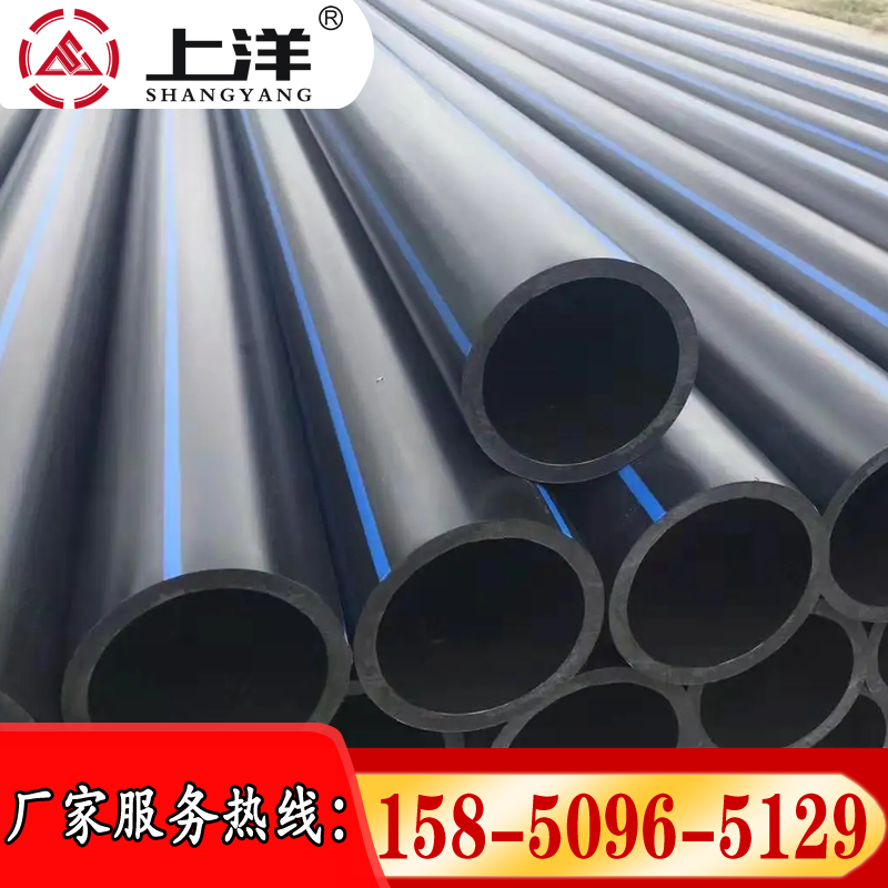 PEڹ31510fPea(chn)Sַpe