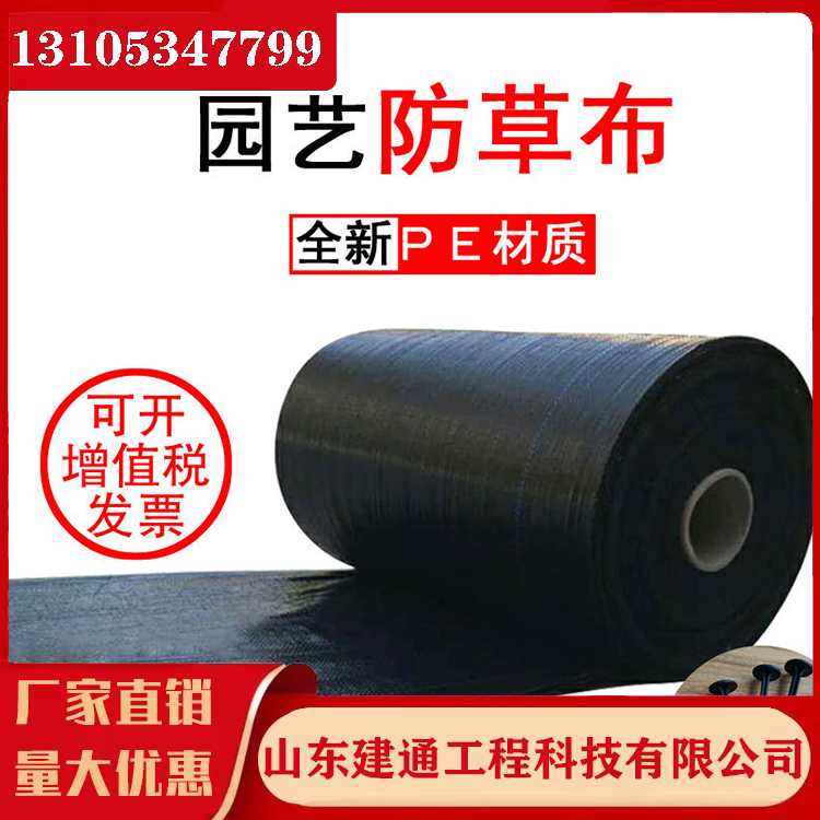 ȫϺɫݲ͸ֲݲ@ˇزϻpp