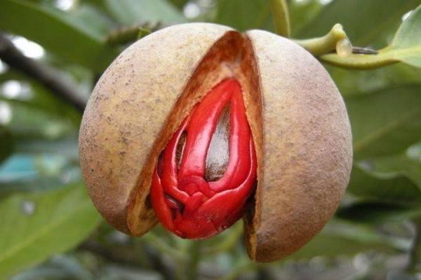 ӡᶡM(jn)P(gun){(dio)ζP(gun)