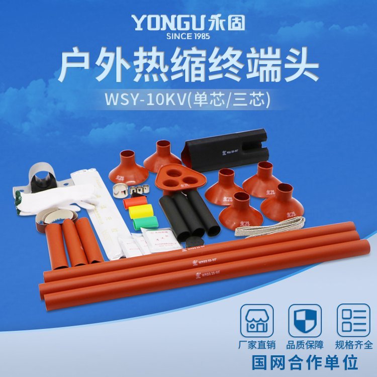WSY-10\/1.410KV߉s|K